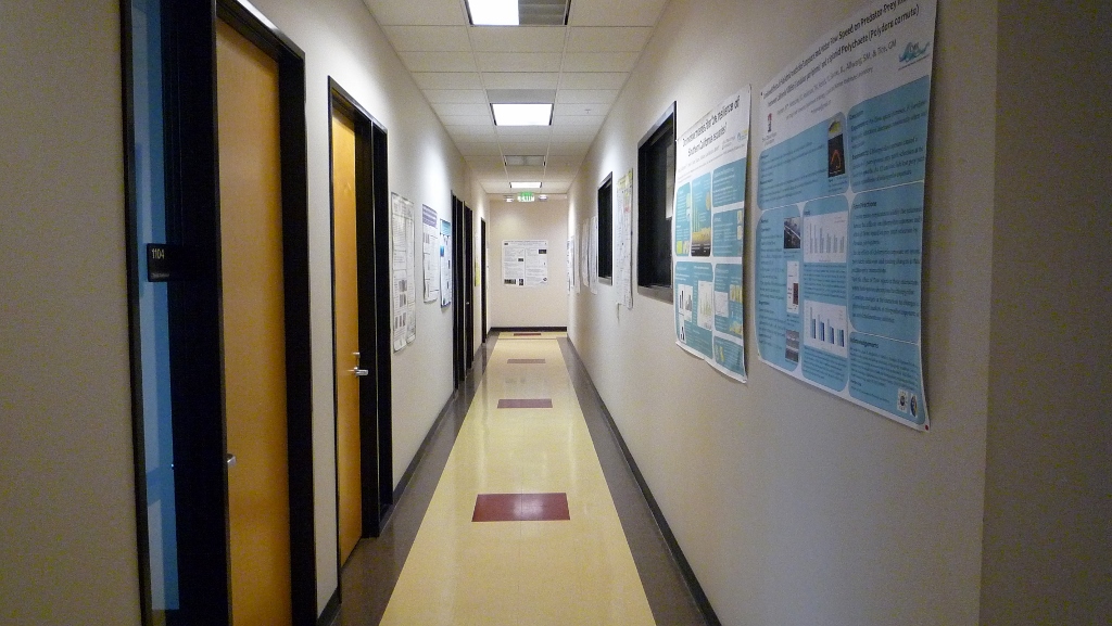 hallway with doors to offices and posters on the walls