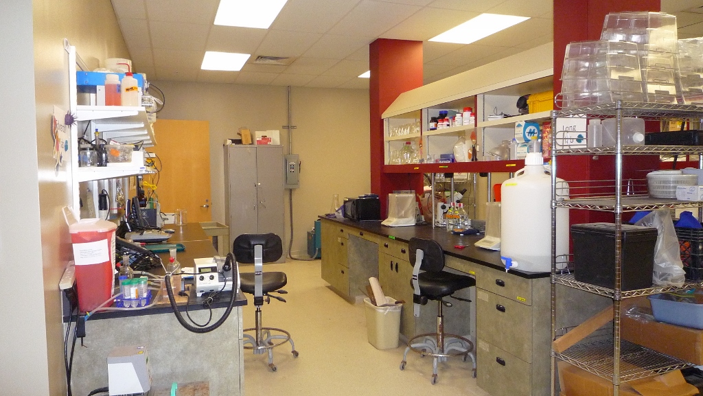 lab benches with various lab equipment and chemicals