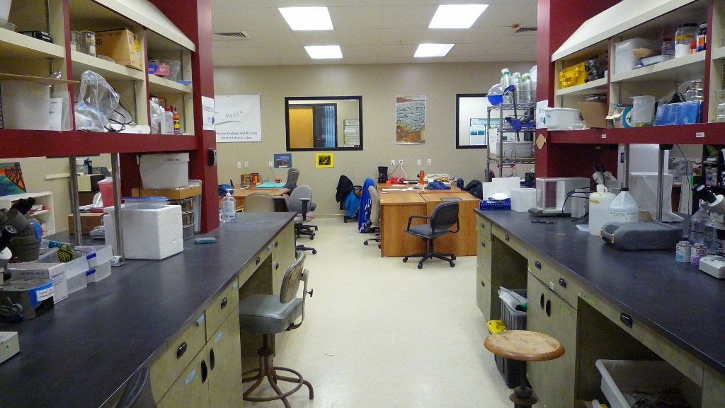 lab benches in lab