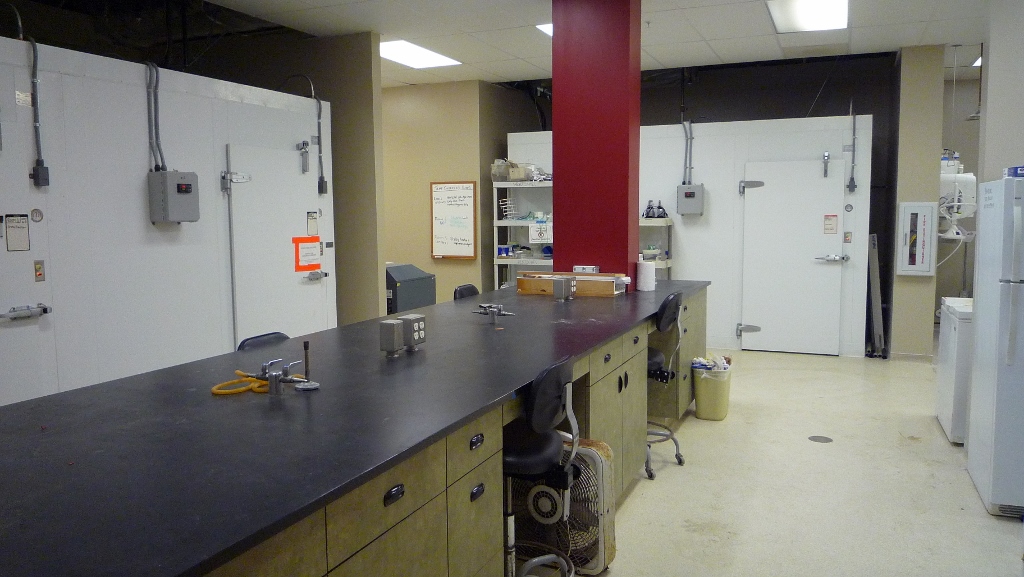 lab bench and walk-in temperature controlled rooms