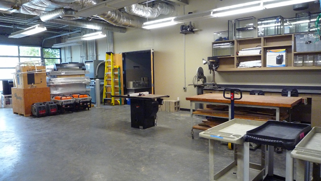 workshop with table saw and workbench