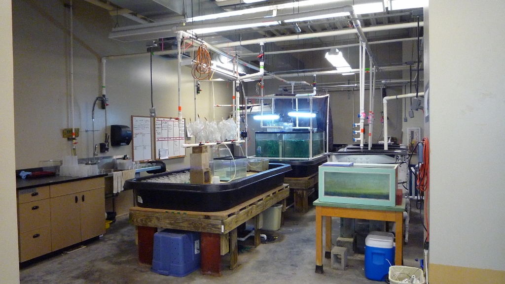 indoor wet lab with various tanks and aquaria