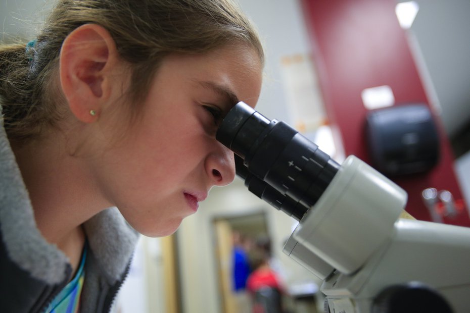 young girl squints through the eye piece of a microscope